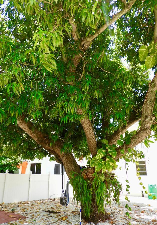Beautiful Casita With King Bed And Private Patio Close To Calle 8, Mia Airport, Coral Gables Miami Exteriör bild